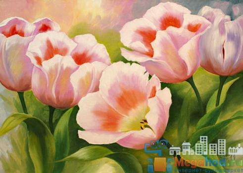 Репродукция "Розовые тюльпаны" от магазина мебели MegaHod.ru
